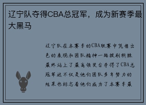辽宁队夺得CBA总冠军，成为新赛季最大黑马